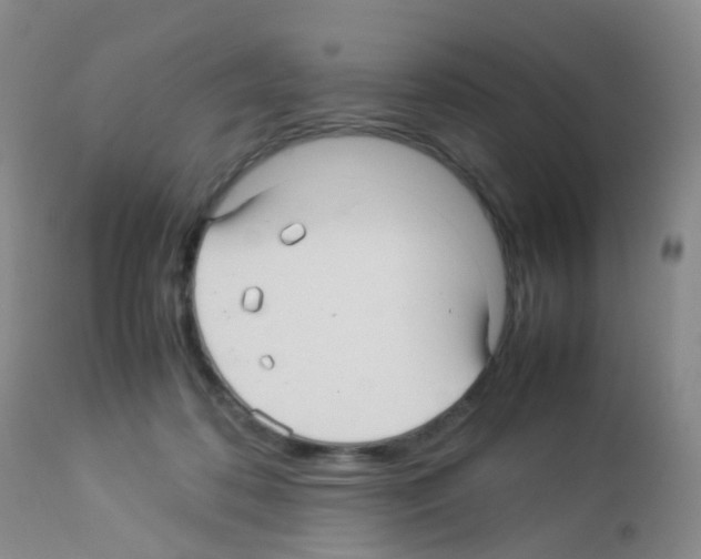 X0000113070316200910091214