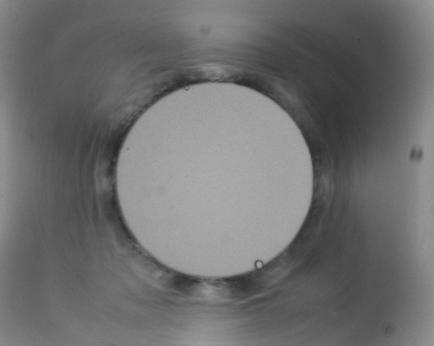 X0000113070317200910091214