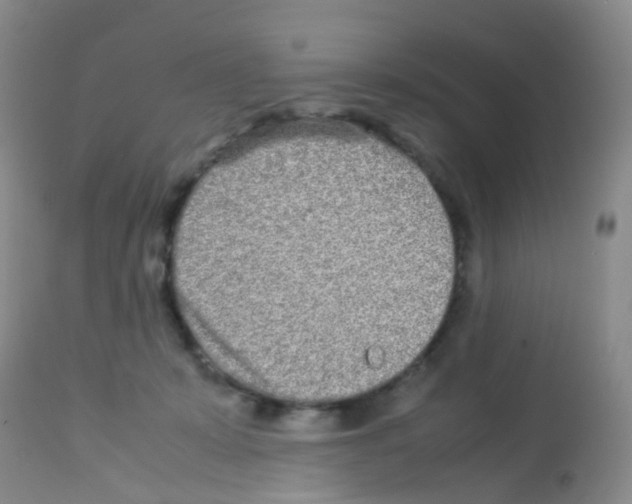 X0000113070319200910091214