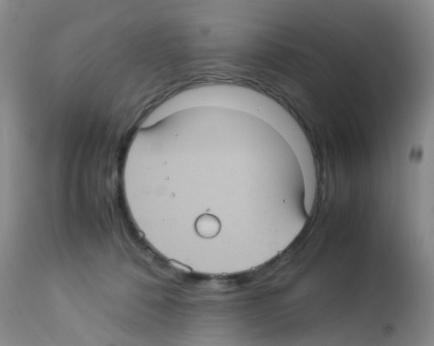 X0000113070320200910091214