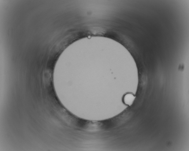 X0000113070321200910091214