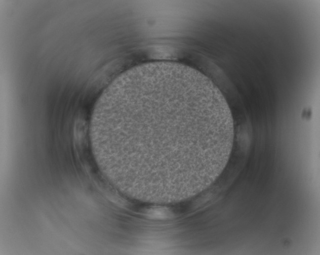 X0000113070322200910091214