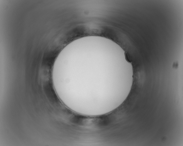X0000113070323200910091214