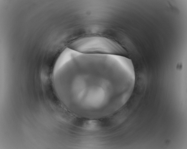 X0000113070324200910091214