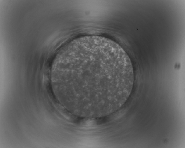 X0000113070325200910091214
