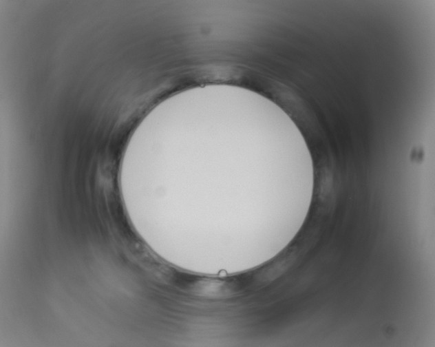 X0000113070326200910091214
