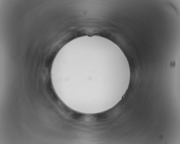 X0000113070327200910091214