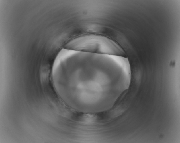 X0000113070328200910091214