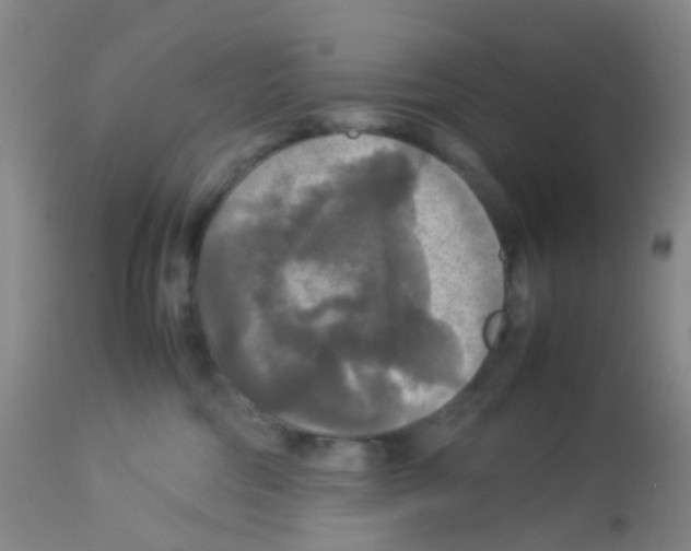 X0000113070330200910091214