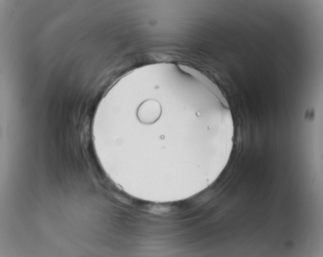 X0000113070332200910091214