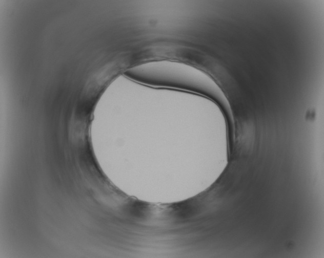 X0000113070333200910091214
