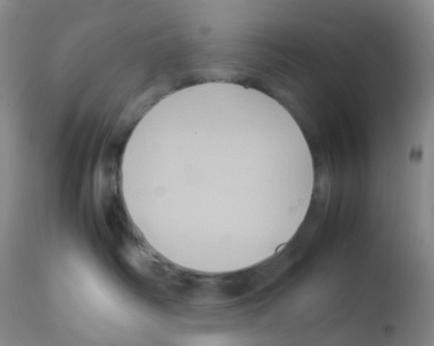 X0000113070334200910091214