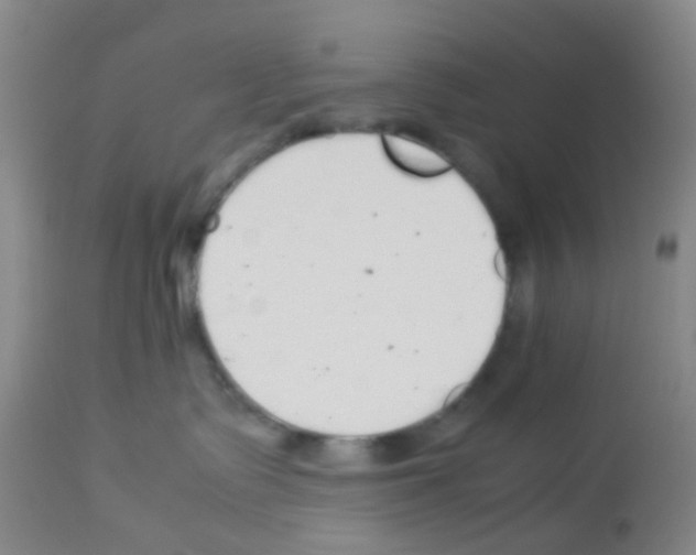 X0000113070335200910091214