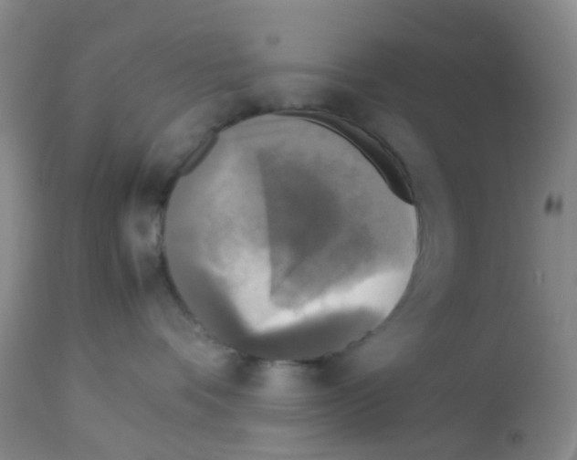 X0000113070336200910091214
