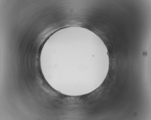 X0000113070338200910091213