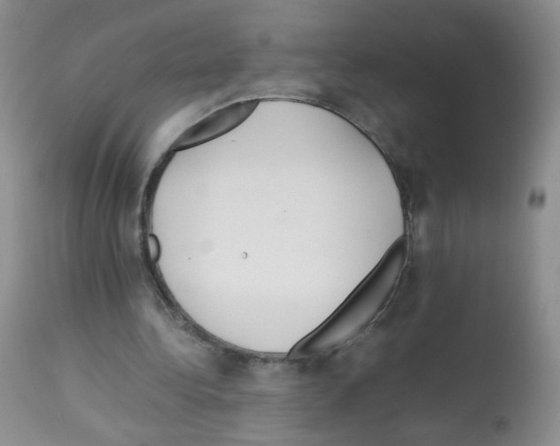 X0000113070340200910091213