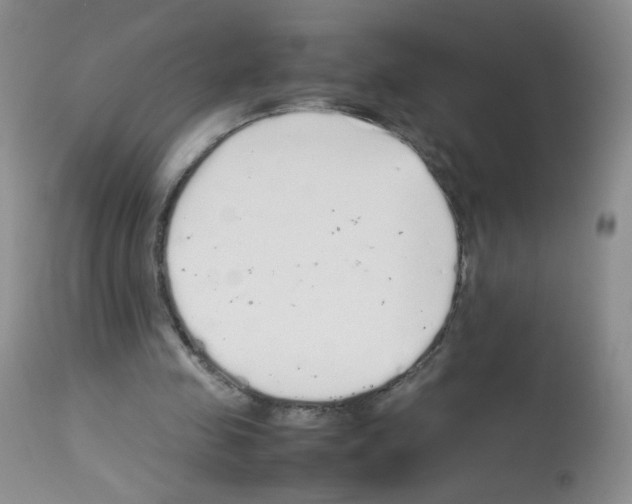 X0000113070341200910091213