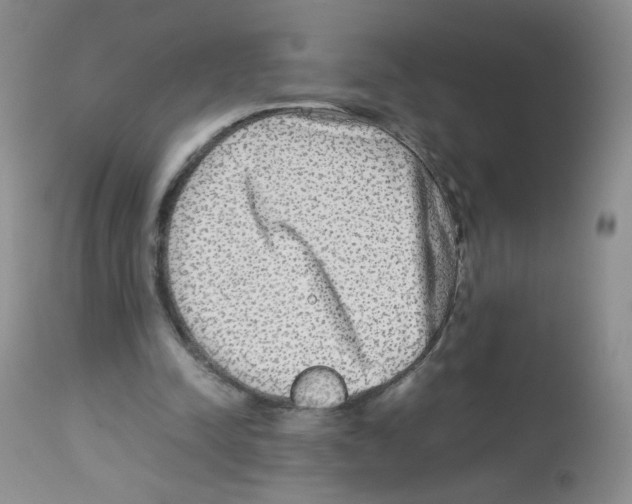 X0000113070342200910091213