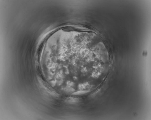 X0000113070343200910091213
