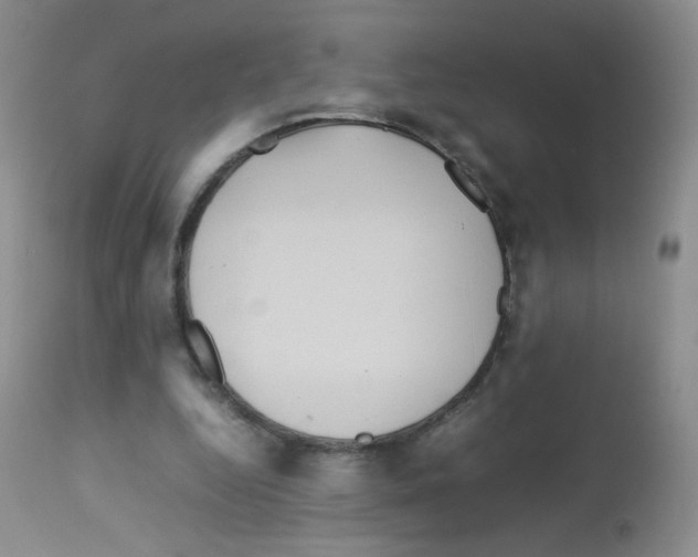 X0000113070344200910091213