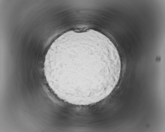 X0000113070345200910091213