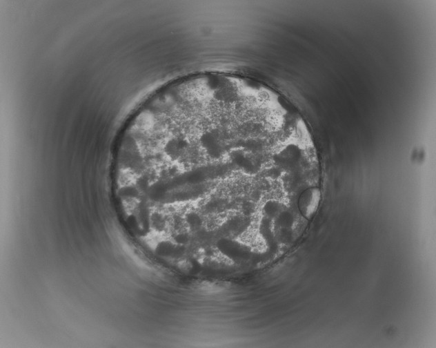 X0000113070346200910091213