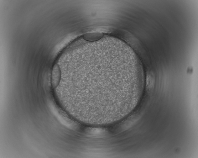 X0000113070348200910091213