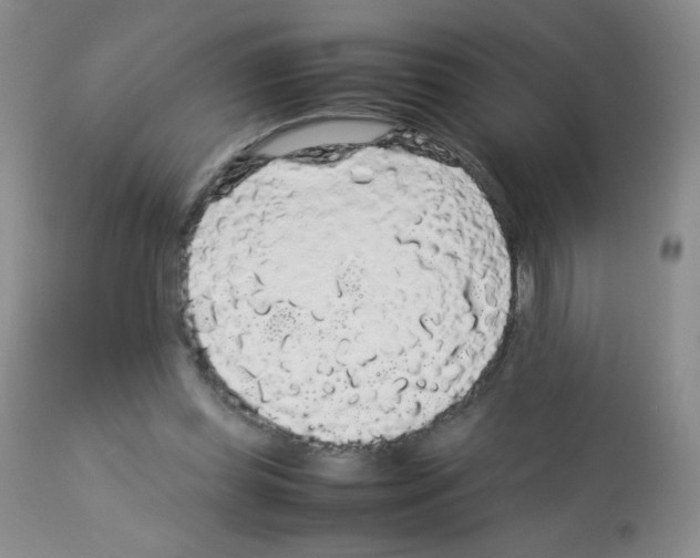 X0000113070349200910091213