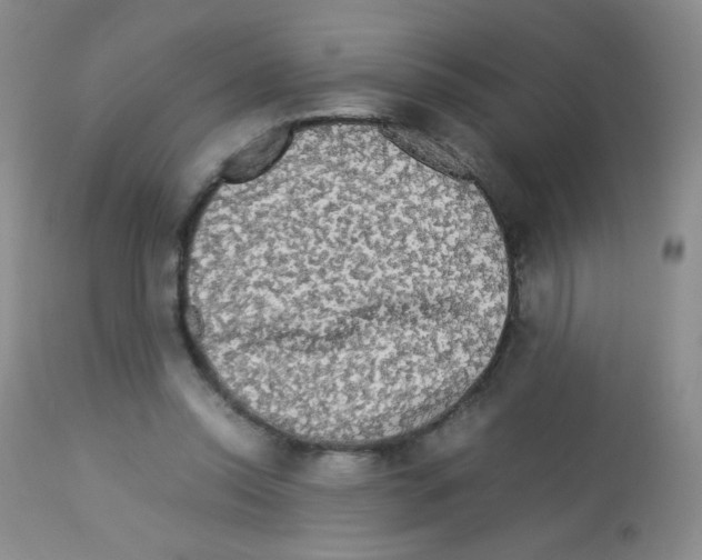 X0000113070350200910091213