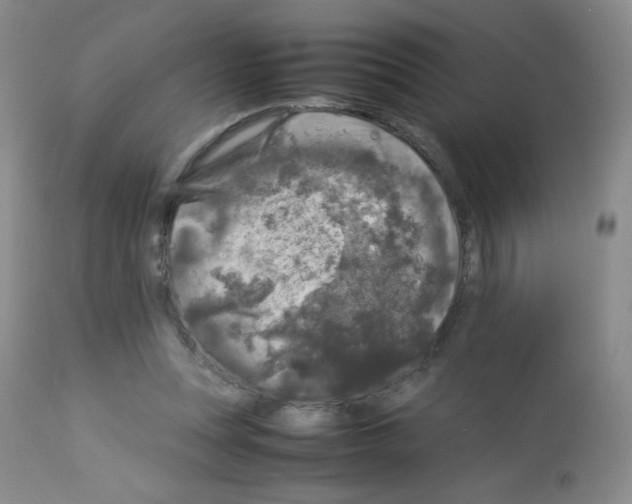 X0000113070351200910091213