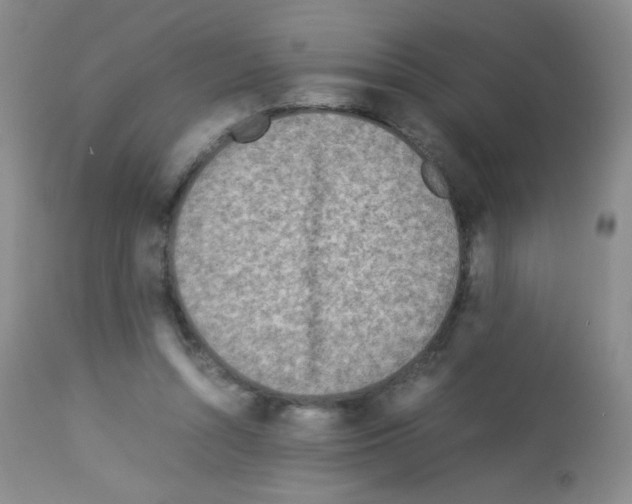 X0000113070352200910091213