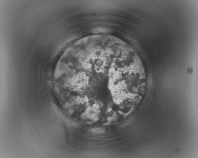X0000113070353200910091213