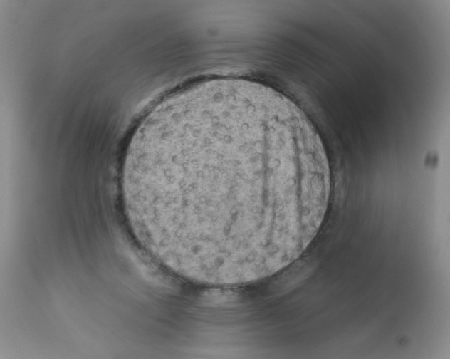 X0000113070354200910091213