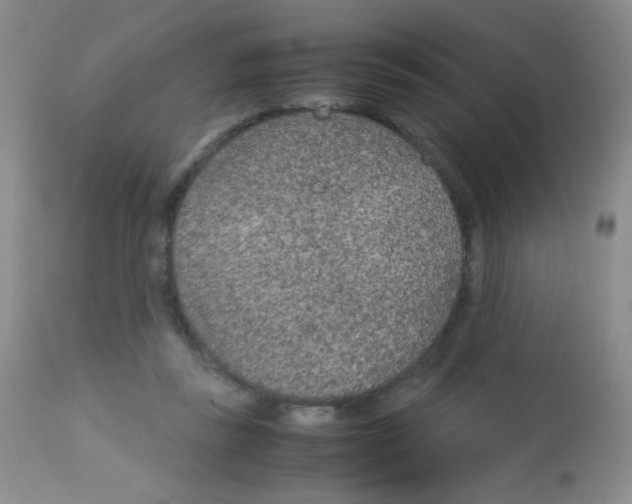 X0000113070355200910091213