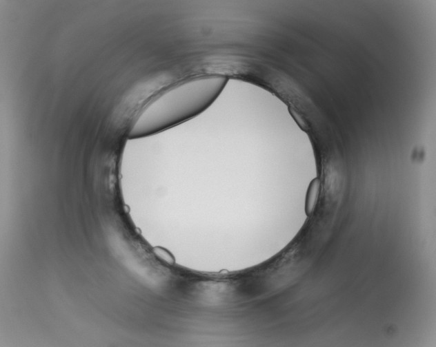 X0000113070356200910091213