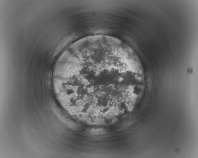X0000113070357200910091213