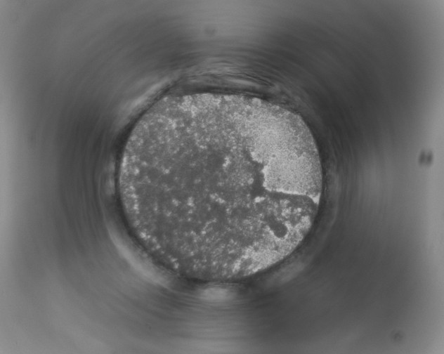 X0000113070358200910091213