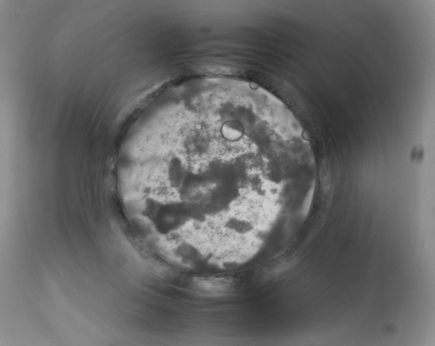 X0000113070359200910091213