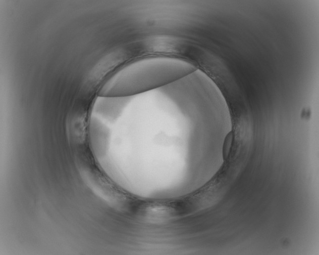 X0000113070360200910091213