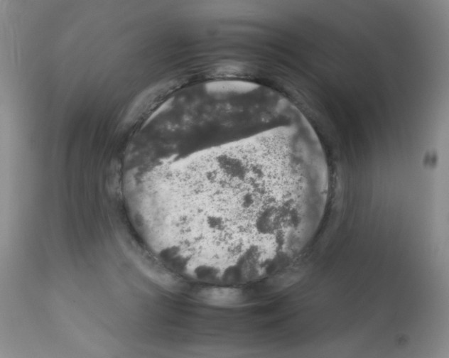 X0000113070361200910091213