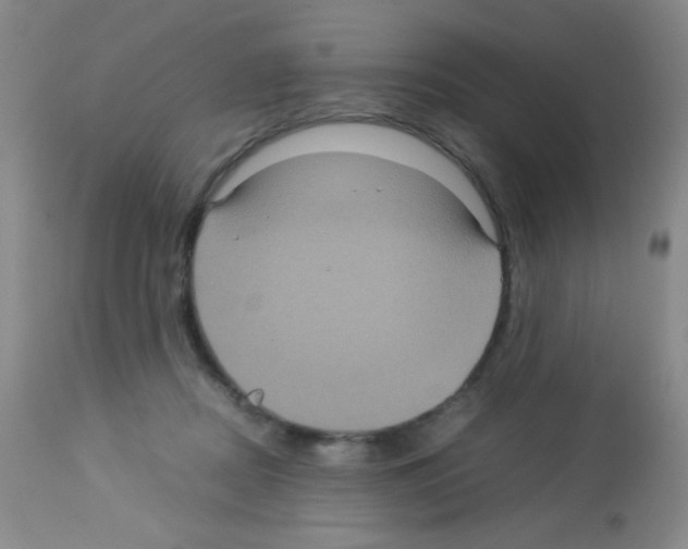 X0000113070362200910091213