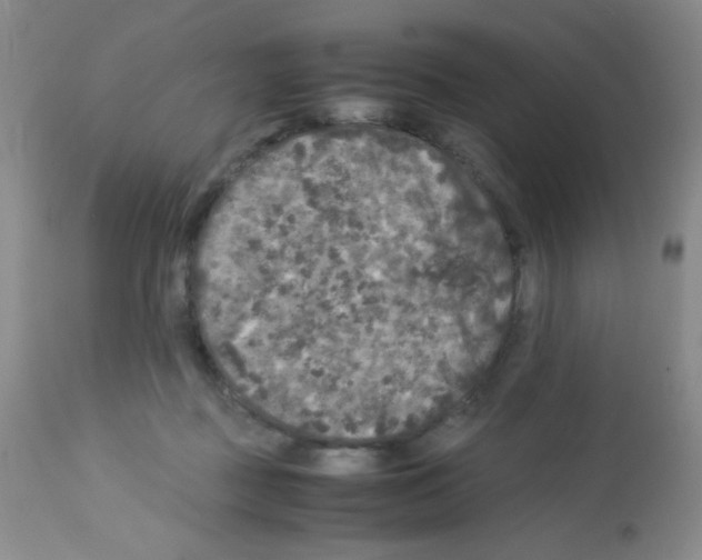 X0000113070363200910091213