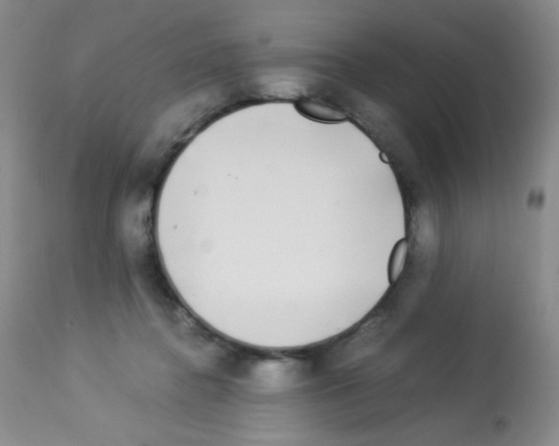 X0000113070364200910091213