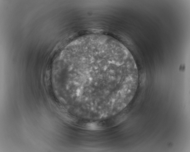 X0000113070365200910091213