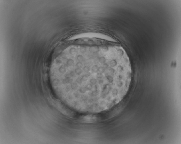 X0000113070366200910091213