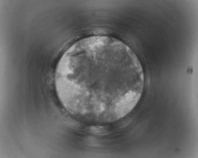 X0000113070367200910091213