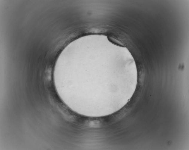 X0000113070368200910091213