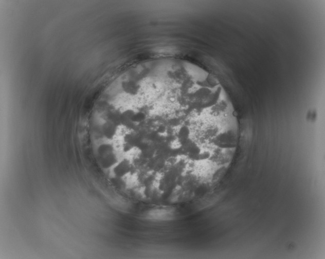 X0000113070369200910091213