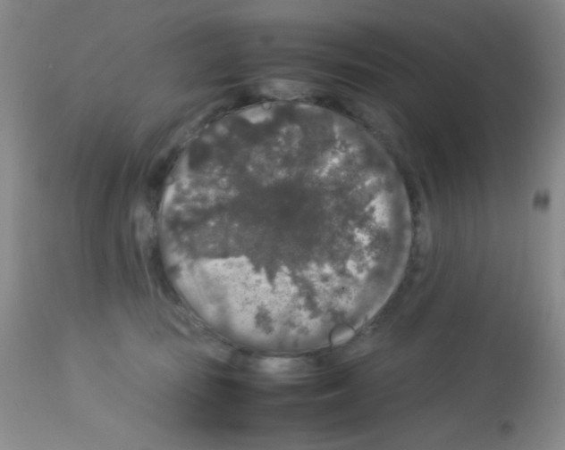 X0000113070371200910091214