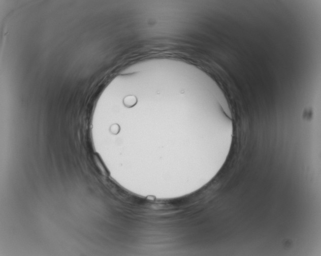 X0000113070372200910091214